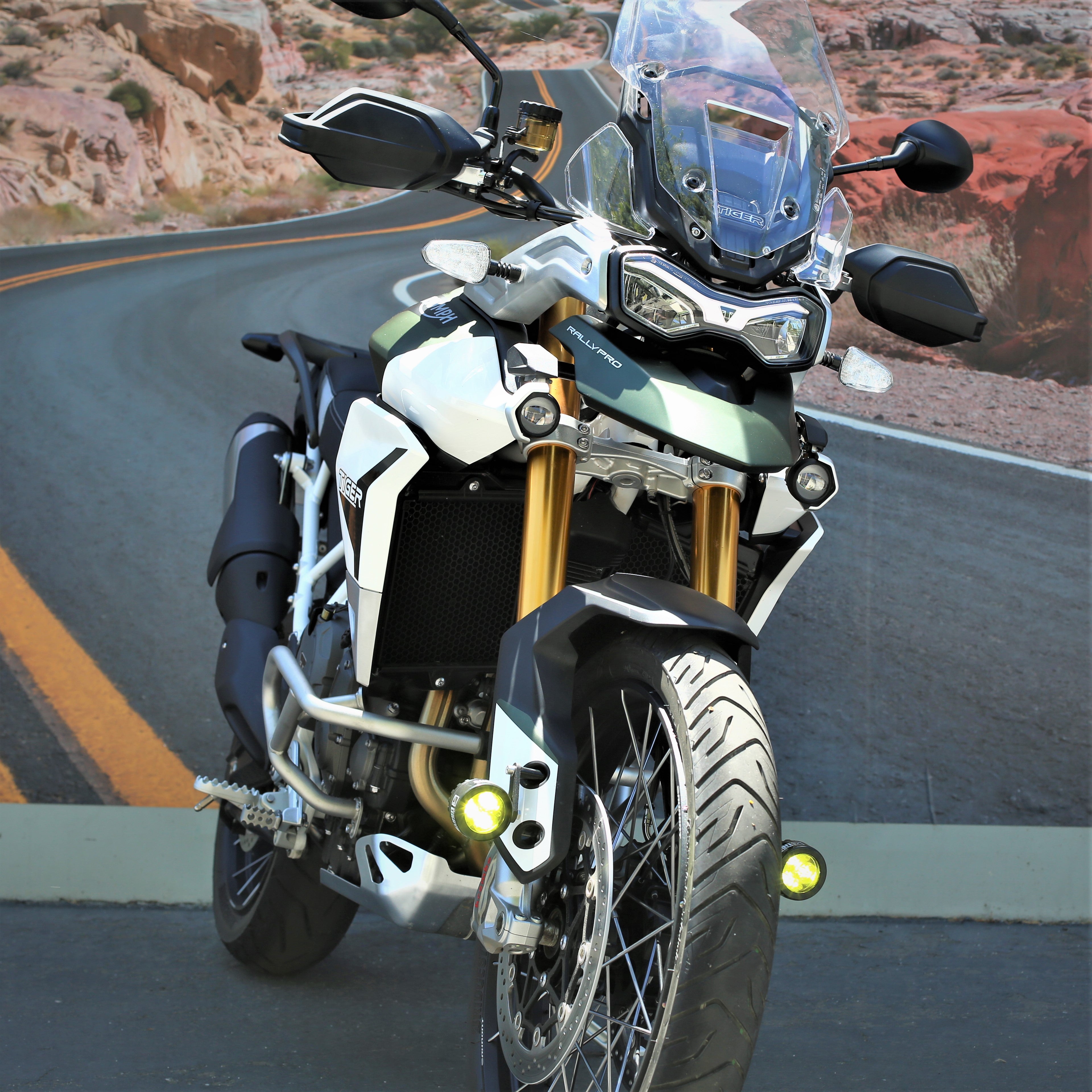 Bmw discount triumph tiger